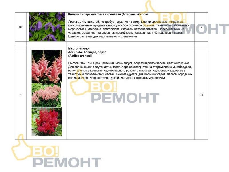Проект благоустройства территории-102